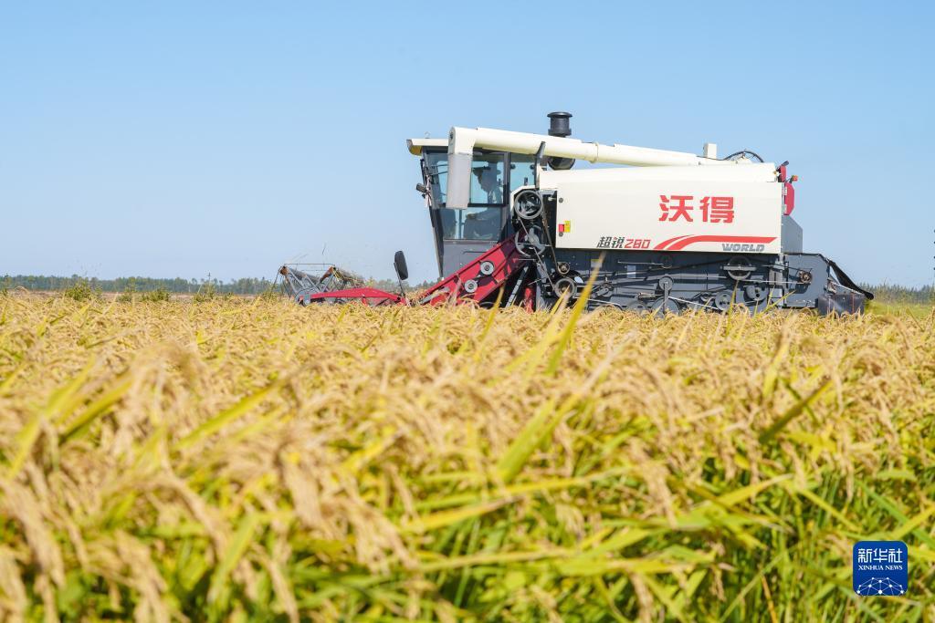 大富豪电玩城电脑版